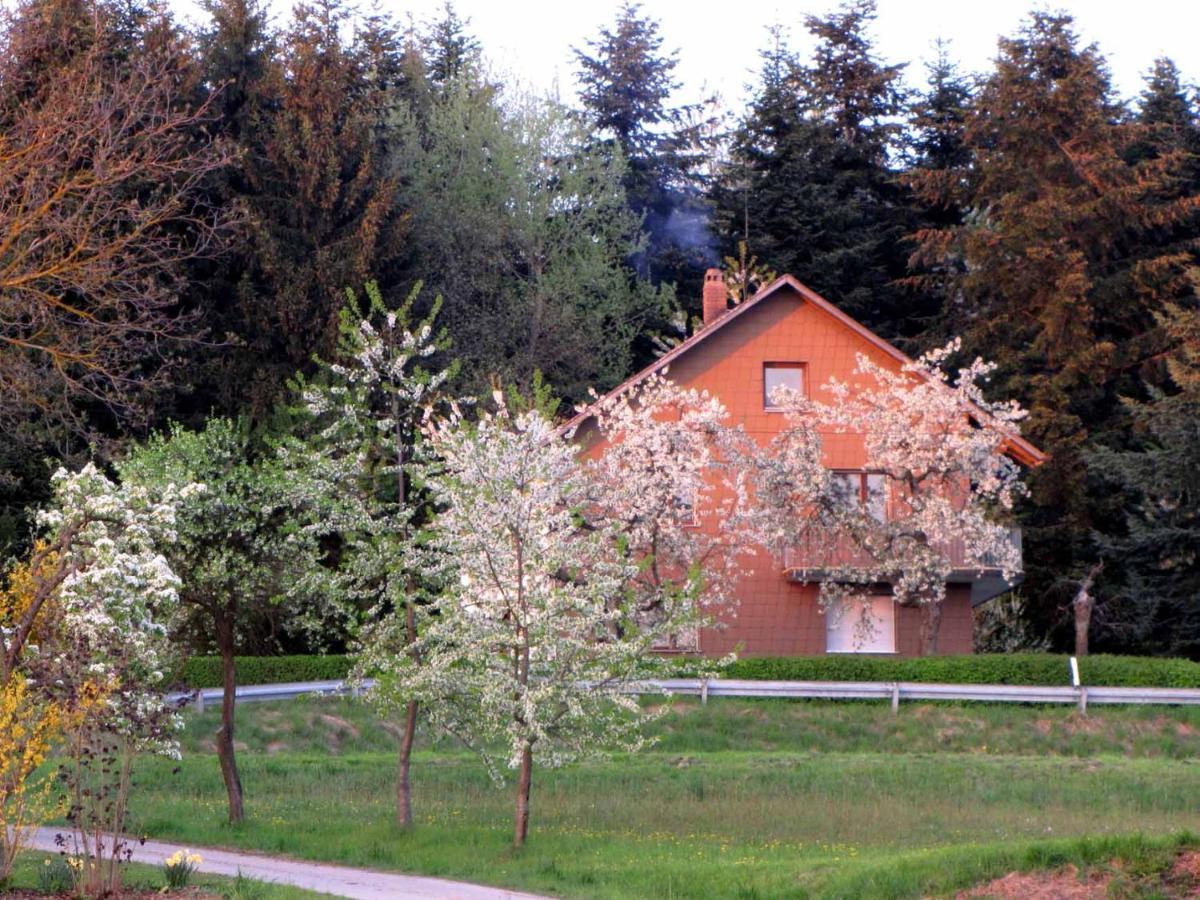 דירות נוינבורג וורם ואלד Haus Hollerbusch מראה חיצוני תמונה